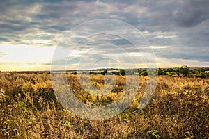 Countryside and yellow field