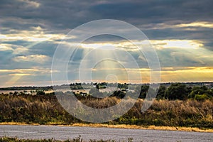 Countryside and yellow field