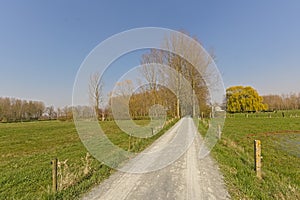 Countrysideroad along green meadows with trees in the flemish countyside