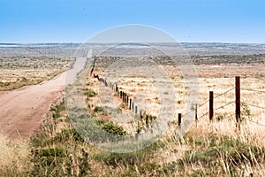 County Road and fences, Weld County, Colorado