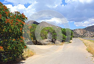 County Road and Interstate 40