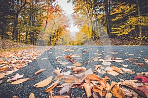 County Route 3 surrounded by brilliant fall foliage in Long Lake NY