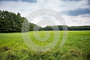 Countyside with Forest and Meadow under Cloudy Sky, Germany