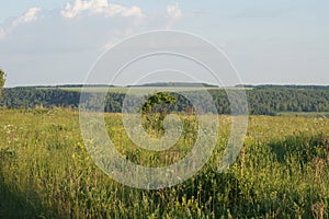 Countyside landscape