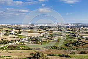 Countyside Landscape in Malta. Food Production.