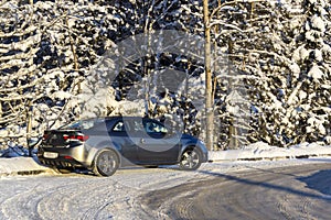 Coup car in winter pine forest