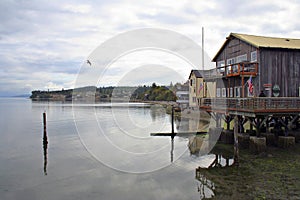 Coupeville Harbor photo