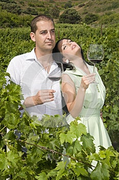 Couple of agrarian people wine in vineyard