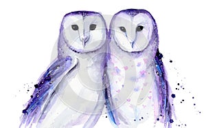 Couple animal Valentines Day. Purple Watercolour owls family on white background