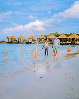 Couple at Aruba beach with pink flamingos at the beach, flamingo beach in Aruba Island Caribbean