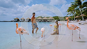 Couple at Aruba beach with pink flamingos at the beach, flamingo beach in Aruba Island Caribbean