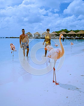 Couple at Aruba beach with pink flamingos at the beach, flamingo beach in Aruba Island Caribbean