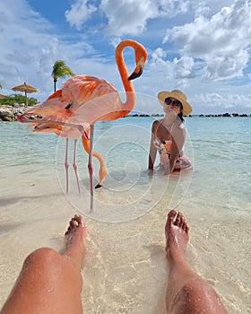 Couple at Aruba beach with pink flamingos at the beach, flamingo beach in Aruba Island Caribbean