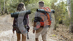 Couple of backpackers walking in forest for camping