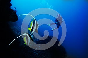 When couple bannerfish look one diver swimming around