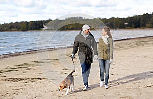 Couple with beagle dog walking along autumn beach