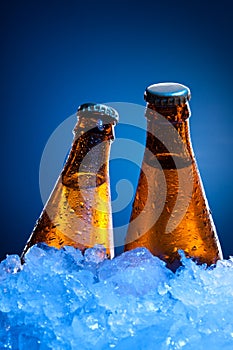 Couple beer bottles in ice