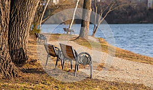 A couple of benches in a new park promenade from the north part of Bucharest in the last days of winter