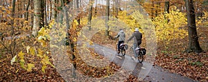 couple on bicycle in fall forest near utrecht in the netherlands