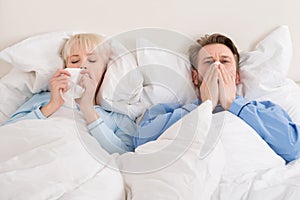 Couple Blowing Their Nose While Lying In Bed