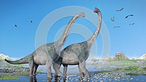 Couple of Brachiosaurus altithorax and a flock of Pterosaurs in a scenic Late Jurassic landscape 3d illustration