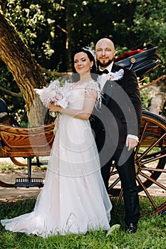 A couple of the bride and groom are standing near the carriage in nature in retro style