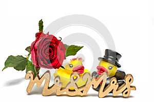 couple bride groom yellow rubber ducks red rose