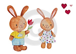 Couple bunnies isolated, valentine card.