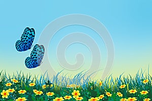 Couple butterflies over yellow flower field under blue sky