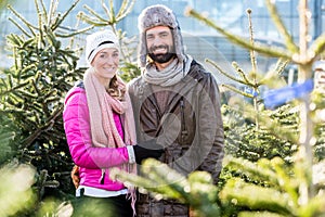 Couple buying Christmas tree on market