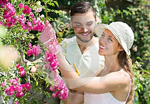 Couple caring their garden