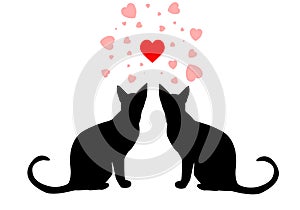 Couple cats. Valentine card emblem. My kitten. Scarlet heart, cat and the inscription on a white background