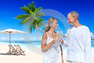 Couple Celebrating Beach Romance Travel Honeymoon Concept