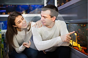 Couple choosing aquarium fish