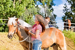 Couple combing horse on farm