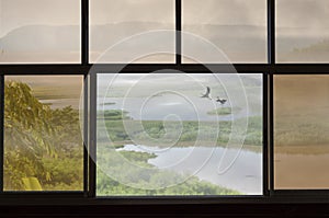 Couple cranes and lake in beautiful window view