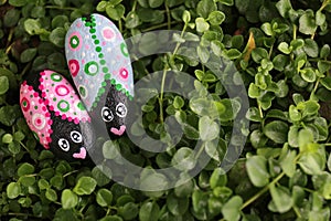 A Couple of Cute Painted Love Bug Rocks on a Background of Green Creeping Thyme Plant