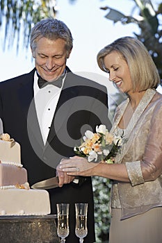 Couple Cutting Wedding Cake