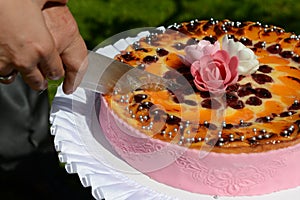 Couple cutting the Wedding cake