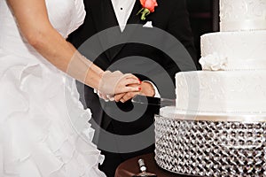 Couple cutting a wedding cake