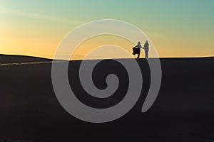 Couple on a Desert Sand Dune in Silhouette