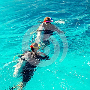 Couple of divers swim in the blue ocean