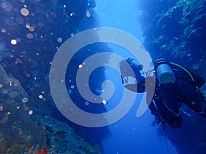 Couple of divers under the blue ocean discovering the beautiful nature