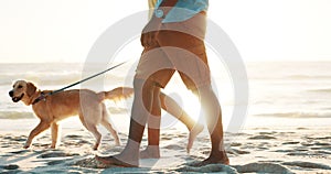 Couple, dog and beach for holiday, sunset and walk with labrador for care, love and holding hands on sand. People