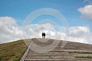 Couple and dog on wooden ladder to heaven with copy-space