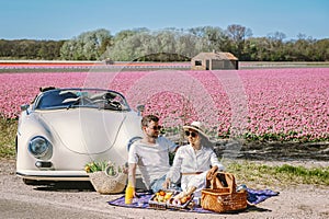 couple doing a road trip with a old vintage car in the Dutch flower bulb region with tulip fields