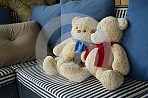 Couple doll bear lover decorated on sofa furniture interior