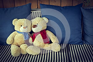 Couple doll bear lover decorated on sofa furniture interior