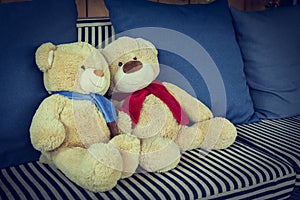 Couple doll bear lover decorated on sofa furniture interior