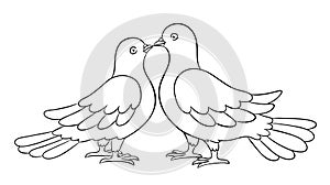 Couple of doves kissing - countour vector illustration